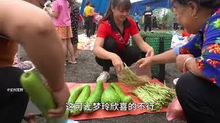 荒野农场：村花采摘荔枝跟鸡蛋果，摘取家中的蔬菜到集市上贩卖