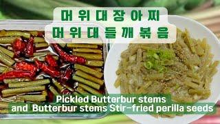 몸에 좋은 머위대 들깨볶음과 장아찌 Healthy butterbur stems with stir-fried perilla and pickles