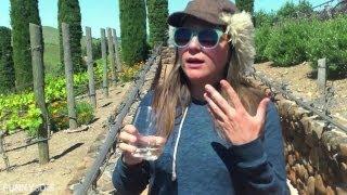 I Hate California: Wine Country