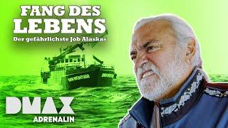 Kalter Krabbenkrieg   | Fang des Lebens | DMAX Adrenalin