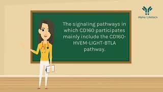 CD160 Targeting: Unleashing Alpha Lifetech Potential! 