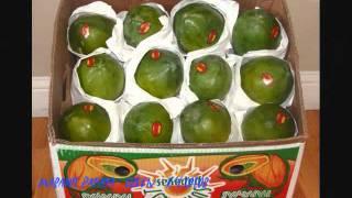 Sun Crest "Maradol" and "Sensation" Papayas from Fresh Tex Produce