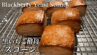SUB) ブラックベリー自家製酵母の作り方/ 天然酵母のスコーン/ How to Make Blackberry Yeast Water/ Naturally Leavened Scones
