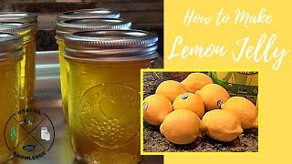 Lemon Jelly | Useful Knowledge