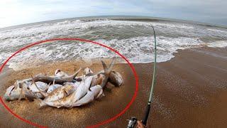 EU SABIA QUE TINHA PEIXE GRANDE NESSE LUGAR!!! Foi uma batida atrás da outra... PESCA DE PRAIA.