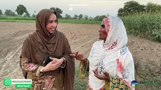 Hardworking women selling plastic crockery items on donkey cart