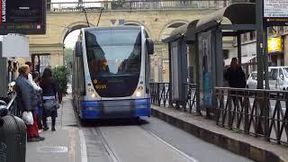 Tram in Turin, tramvia di Torino, 2015