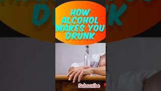 How alcohol makes you Drunk || #alcohol #shorts #education