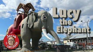 Inside Lucy the Elephant - Plus Cape May Ferry