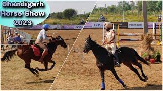 Horse show Chandigarh 2023 - Full Show