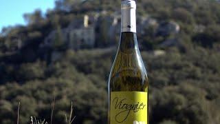 Вионье кусочек лета в бокале Viognier