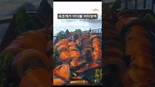 속초/바다가 보이는 포차/속초 포장마차5