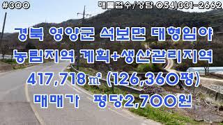 [물건번호300. 경북 영양군 석보면 2차선변 하천끼고 전망좋은 대형의 다용도 임야 평당2,700원] 접근성 매우 좋으며 경사 완만하고 차량진입 가능하며 전기 수도 인입 수월합니다