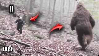 4  TERRIFYING Bigfoot Encounters In National Parks