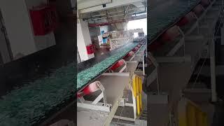 glass cullet running conveyor