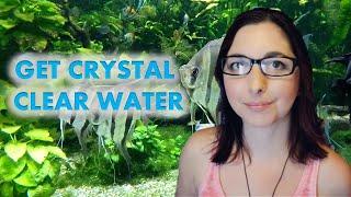 How To Fix A Cloudy Aquarium  Get Crystal Clear Aquarium Water