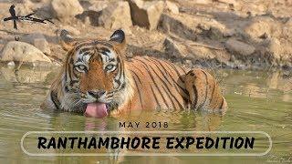 Ranthambore (Ranthambhore) National Park Safari Expedition: Sawai Madhopur