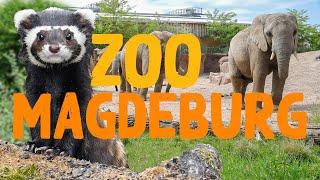 Zoo Magdeburg | Zoo Eindruck