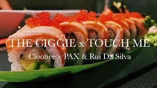 The Ciggie x Touch Me / Cloonee vs. PAX & Rui Da Silva - asvibi edit
