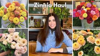 2025 ZINNIA HAUL!  Photos & Video Plus Tips On Growing Zinnias In Containers