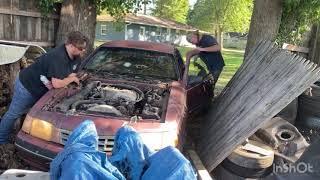 Will it run a 1988 ford thunderbird #classiccar #willitrun #ford302 #viralvideo #thunderbird