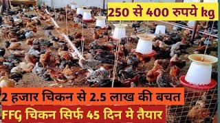 Secrets Revealed about FFG Poultry Farming | How to start Poultry Farming business | #poultry