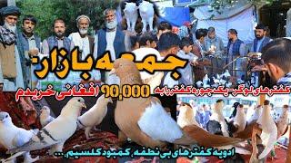 جمعه بازار- فروش چوچه کفتر ها 90 هزاری | دوا برای کفتر بی نطفه، کمبود کلسیم | Most Expensive pigeon