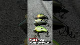 Top 3 Rapala Crankbaits for Fall Fishing