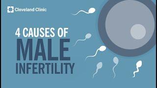 4 Causes of Male Infertility