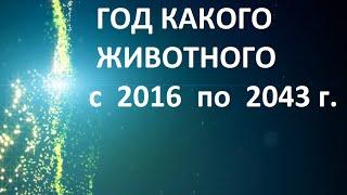 Год какого животного 2018 по гороскопу, по годам, по китайскому календарю сейчас