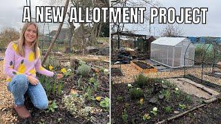 PUTTING UP A POLYCARBONATE GREENHOUSE / ALLOTMENT GARDENING UK