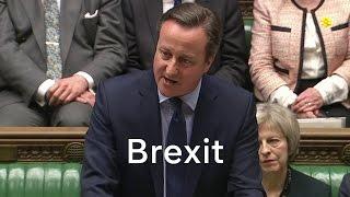 More than 100 Tory MPs back Brexit