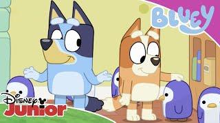 Neighbours | Bluey  | Disney Junior Arabia