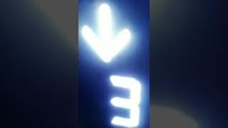24 March 2024