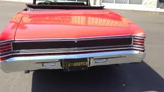 '67 Chevelle Walkaround - Cats Exotics