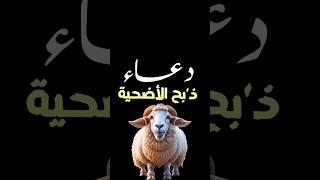 لا تذبح الاضحية قبل ان تقول هذا الدعاء‼️#دعاء_الاضحية #عيد_الاضحي #الدكتور_احمد_سلام