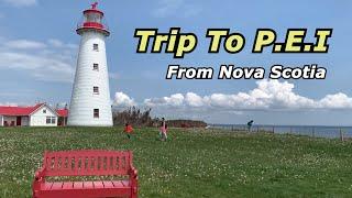 캐나다살기 #41 Trip to Prince Edward Island from Halifax, Nova Scotia #Anne of Green Gables