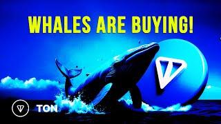 Toncoin News Update: Whales are Buying TON Coin