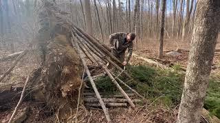 Survival shelter out of a fallen tree! #survival #shelterbuilding #bushcraft