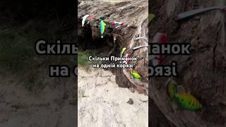 Топ рибалка 2025р. #fishing #спінінг #shortsfishing #рибалкаукраїна