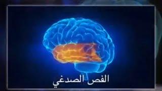 سؤال جرئ 235 محمد بين الطب والنبوة : الجزء الأول