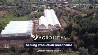 Agrolidya's Second Sapling Production Greenhouse