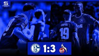 FC Schalke 04 - 1. FC Köln 1:3 | Tore & Highlights | Stadion Reaktion