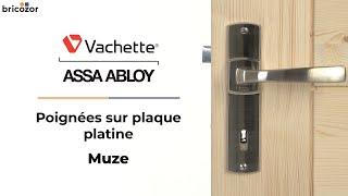 PRESENTATION : Poignée de porte sur plaque Platine - Entraxe de fixation 165 - Muze VACHETTE