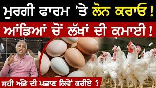 ਲੋਨ ਨਾਲ ਬੱਕਰੀ, ਮੁਰਗੀ ਫਾਰਮ ਚੋਂ ਕਮਾਈ ? | Poultry Farming Business | Goat Farming | Sirlekh