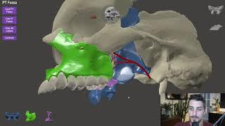 Part I - Pterygopalatine Fossa in 3D