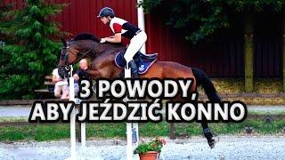 Jazda konna - 3 powody, dla których warto jeździć konno wg Shining Riding