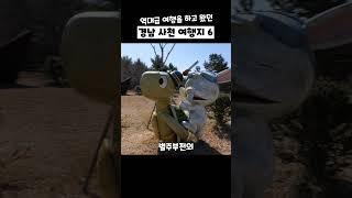 경남 사천에서 역대급 여행을 하고 왔습니다. 경남 사천 가볼만한 곳 6곳 소개해드릴게요. 꼭 다녀와보세요!#사천여행지 #사천가볼만한곳 #사천케이블카 #사천아쿠아리움 #경남여행지