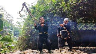 Dwarf family repairs shelter in the woods | Terrifying encounter with world's most venomous snake