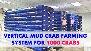 Vertical Mud Crab Farming System For 1000 Crabs With Its Own Water Treatment System